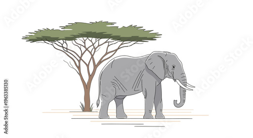 An elephant stands under a tree in a savannah landscape illustration.