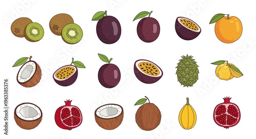 Colorful illustrations of various fruits on white background including kiwi and pomegranate