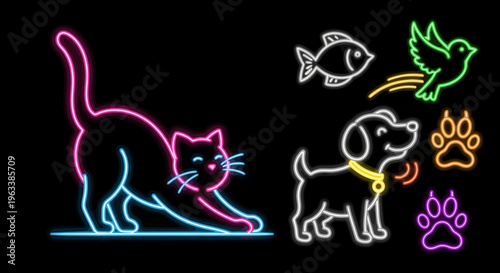 Neon signs of cat and dog with fish bird paw prints around them.