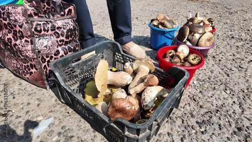 A person selling wild forest mushrooms on a sidewalk at an informal street market. Unverified origin food offered outdoors in an urban environment. Close-up.