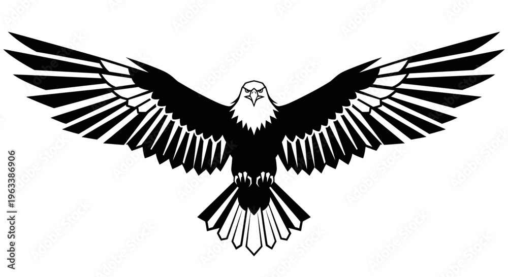 Fototapeta premium Black and white eagle flying solo.