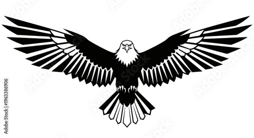 Black and white eagle flying solo.