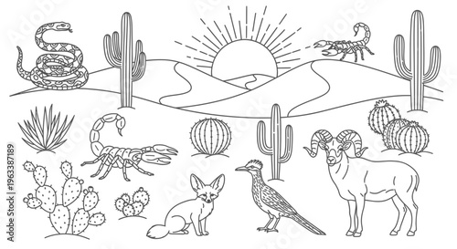 Desert wildlife and animals collection.