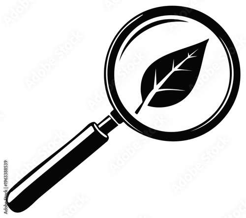 Magnifying glass examining a detailed botanical leaf revealing its intricate structure and veins