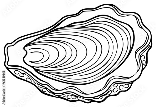 Oyster Shell Outline Illustration with Detailed Texture and Wavy Edges for Coloring Pages