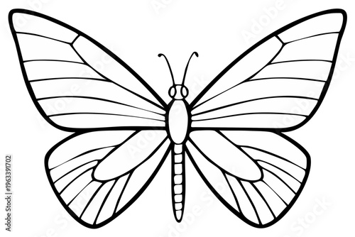 Butterfly Outlined Illustration for Coloring Book Pages or Educational Materials