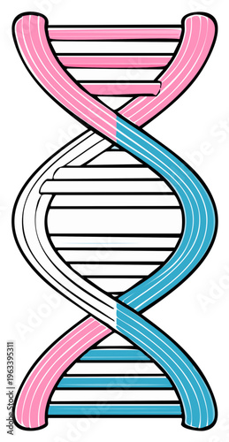 Abstract illustration of a DNA helix in pink and blue