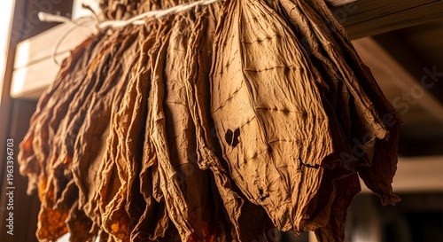 Tobacco leafs drying