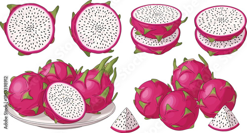 Dragon fruit slices and whole pitaya set with tropical exotic fruit flat illustration collection