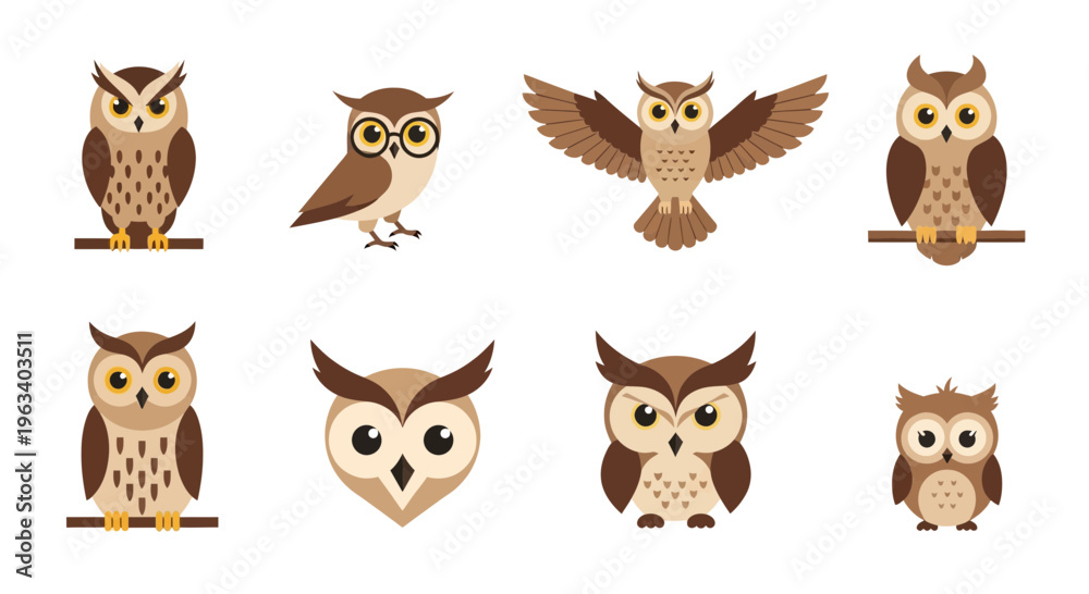 Fototapeta premium Set of Cute Cartoon Owl Characters in Various Poses