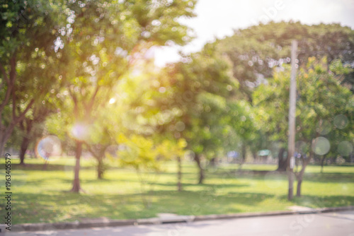 Bokeh background of sunlit garden path with trees in warm afternoon light