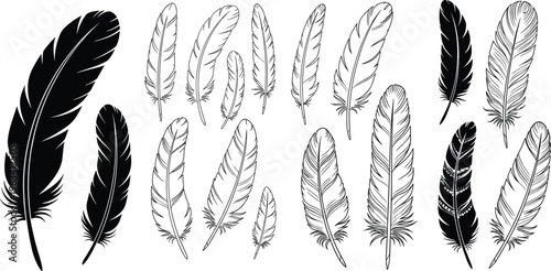 Feather collection with detailed bird feather silhouettes and line art styles, decorative vintage illustration set isolated on white background for tattoo and design