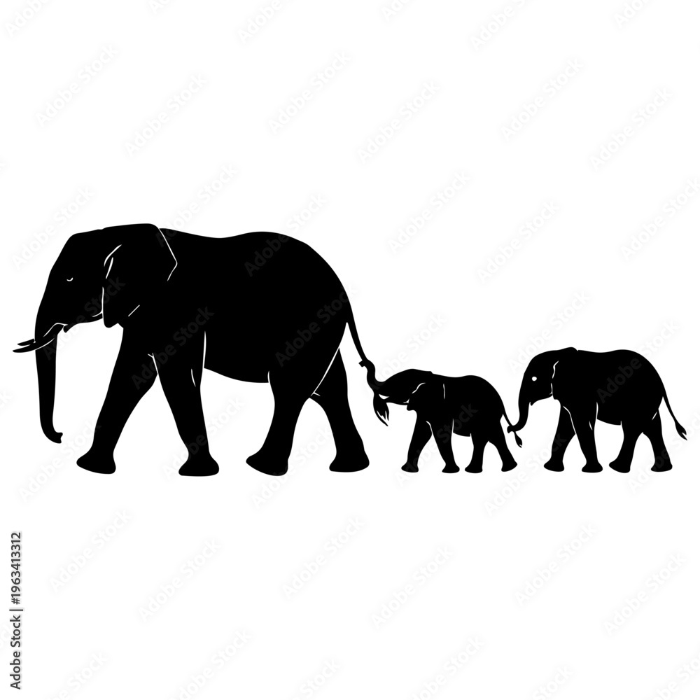 Fototapeta premium A family of elephants walking together in a line isolated on transparent background, Vector