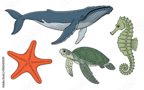 Whale and marine creatures swimming together in vibrant colors isolated on transparent background