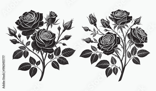 "Black and white rose bouquet illustration set, detailed blooming roses with buds and leaves vector floral design"