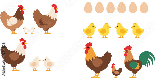Chicken and poultry collection with hens, roosters, chicks and eggs, farm animal illustration set isolated on white background for agriculture and food design