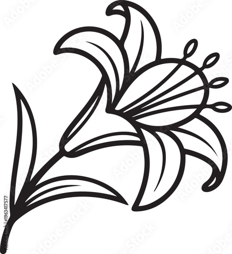 Elegant Lily Flower Line Art Set with Minimal Botanical Floral Outline Drawings for Luxury Wall Art ,Minimal Floral Outline Design