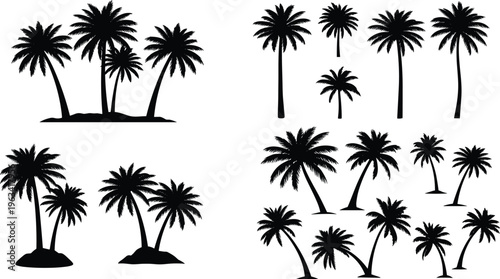 Palm tree silhouette collection with tropical island coconut trees, black vector shapes set isolated on white background for summer, beach and landscape design