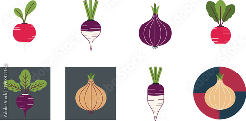 Root vegetable icon set with beetroot, radish and onion illustrations, fresh farm produce collection isolated on white background for food and agriculture design