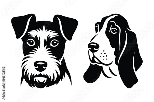 Dog breeds schnauzer and basset hound heads vector icon set