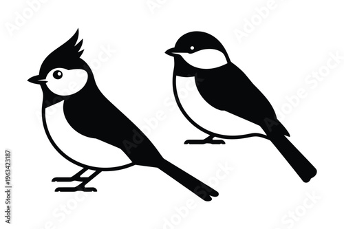 Small birds silhouette vector illustration