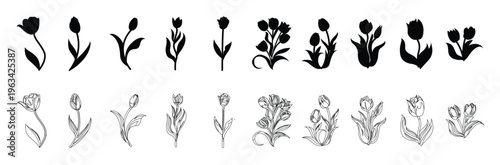 Tulip flower collection hand drawn illustration. Tulip flowers spring doodle drawing in engraving style. Spring flower silhouettes set with peony,  Vector illustration.