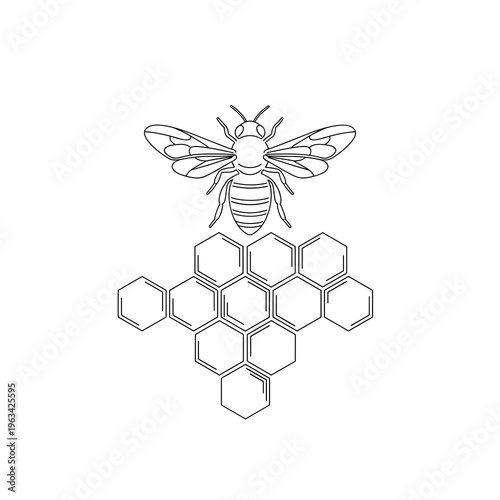 Minimalist bee line art on honeycomb structure