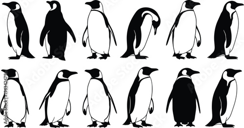 Black and white silhouette illustration of twelve penguins in different poses arranged in two rows, representing animal behavior, posture variety, and wildlife artwork design