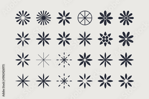 Dark floral and starburst on light background flower