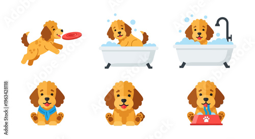 Cute dog in various bath scenes.