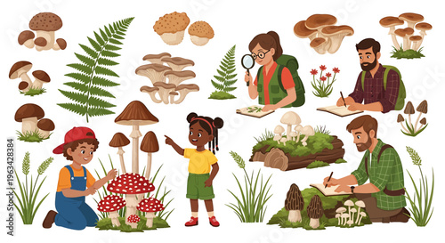 Campers discovering various mushrooms in a forest setting with friends and plants