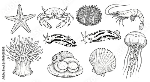 Seafood and ocean creatures illustration set.