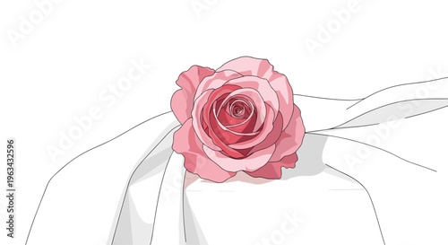 A single, fully bloomed pink rose with intricate petals rests delicately on softly draped white fabric against a white background.