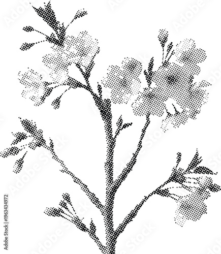 Halftone illustration of a flowering plant with multiple stems and leaves on white background