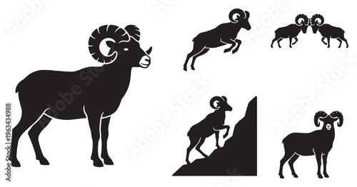 Schilderij op canvas Set of bighorn sheep silhouettes, including a ram standing, jumping, climbing, and two rams fighting, on a white background