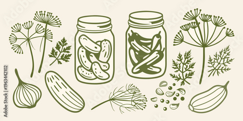Hand drawn illustration of pickling cucumbers dill and spice elements
