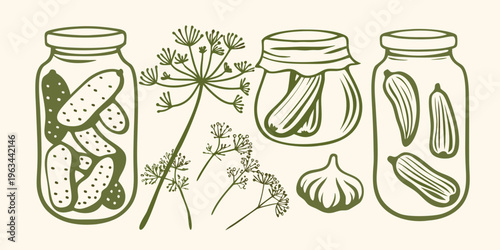 Hand drawn illustration of pickled cucumbers in jars with dill and garlic