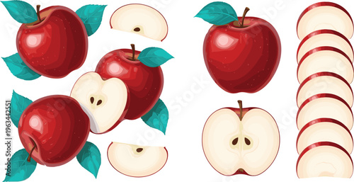 Red apple vector set with whole fruits, slices, halves and fresh juicy illustrations in realistic style