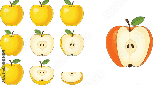 Yellow apple vector set with whole fruits, sliced pieces and juicy fresh illustrations in realistic style