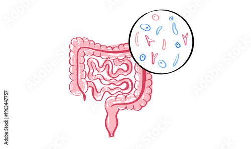 Gut Brain Connection