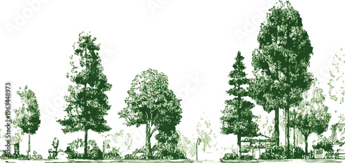 Hand drawn of diverse trees and park structures in varying shades of green nature outdoor
