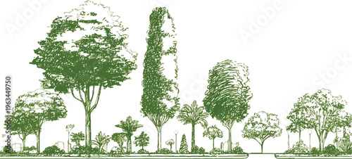 Of diverse green trees and foliage lining a pathway with streetlights plant nature