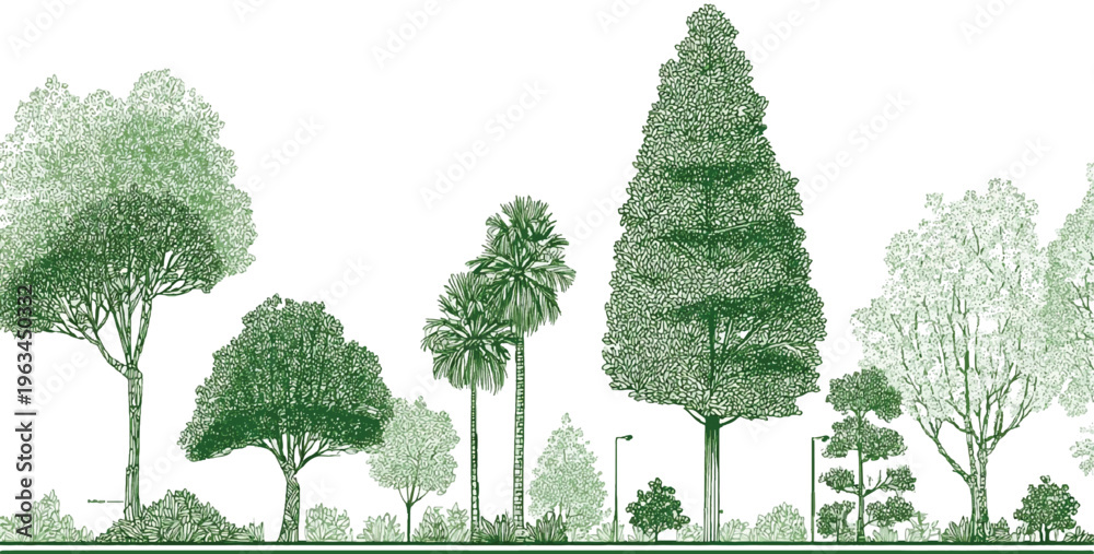 Fototapeta premium A diverse collection of green trees and foliage rendered in a detailed line style against a white background