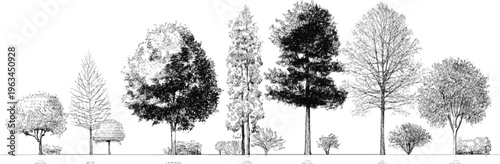 Collection of diverse trees and bushes rendered in black and white style foliage branches trunks