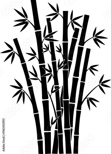 Black Bamboo Stalks with Leaves Silhouette White Background plant
