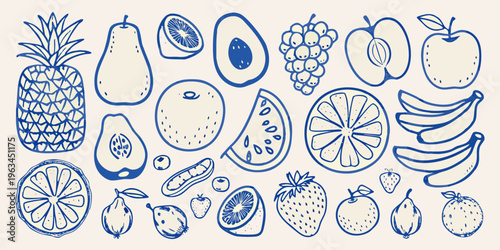 A collection of hand drawn blue line art showcasing various fruits