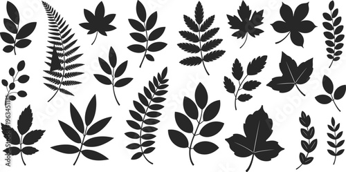 Set of black leaf silhouettes featuring various foliage shapes including maple, fern, and birch, isolated on a white background for botanical and nature design.