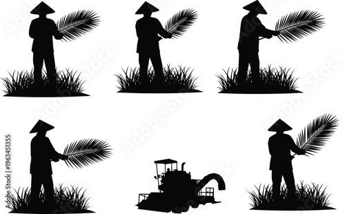 Black silhouette of farmers with traditional hats holding palm leaves in rice fields and a modern combine harvester agricultural machine