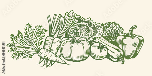 A vibrant sketch of fresh vegetables including carrots peppers and lettuce