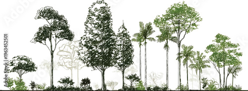 Diverse collection of hand-drawn trees and foliage in various shades of green and brown against a white background